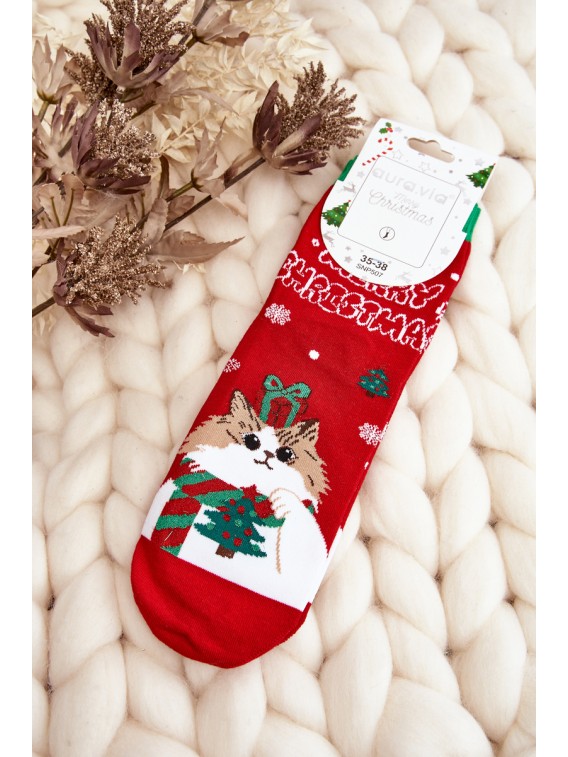 Linksmos kalėdinės kojinės su kačiuku - SK.29076/SNP507